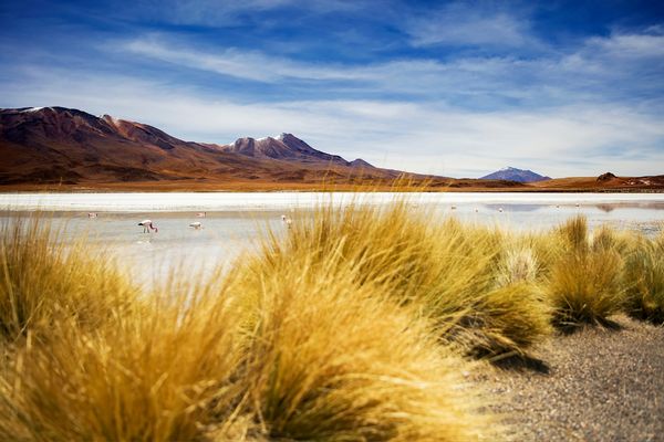 Circuit Aventure Bolivienne, entre Sel et Ciel pas cher photo 25