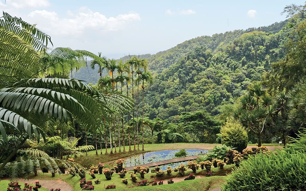 Circuit incontournable Martinique pas cher photo 11
