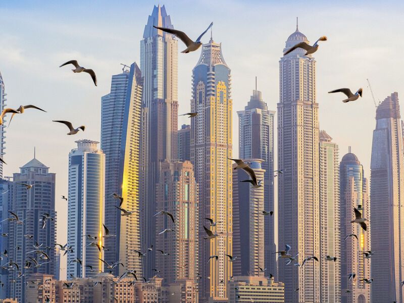 Circuit Il Était Une Fois Deux Emirats pas cher
