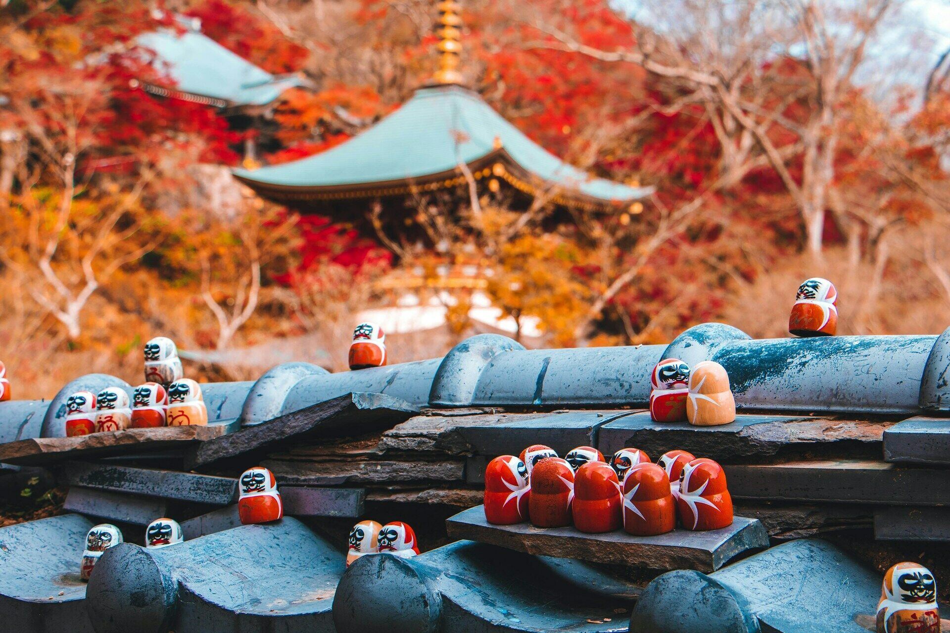 Circuit Individuel Plongée dans l’Univers du Japon 3* pas cher photo 4