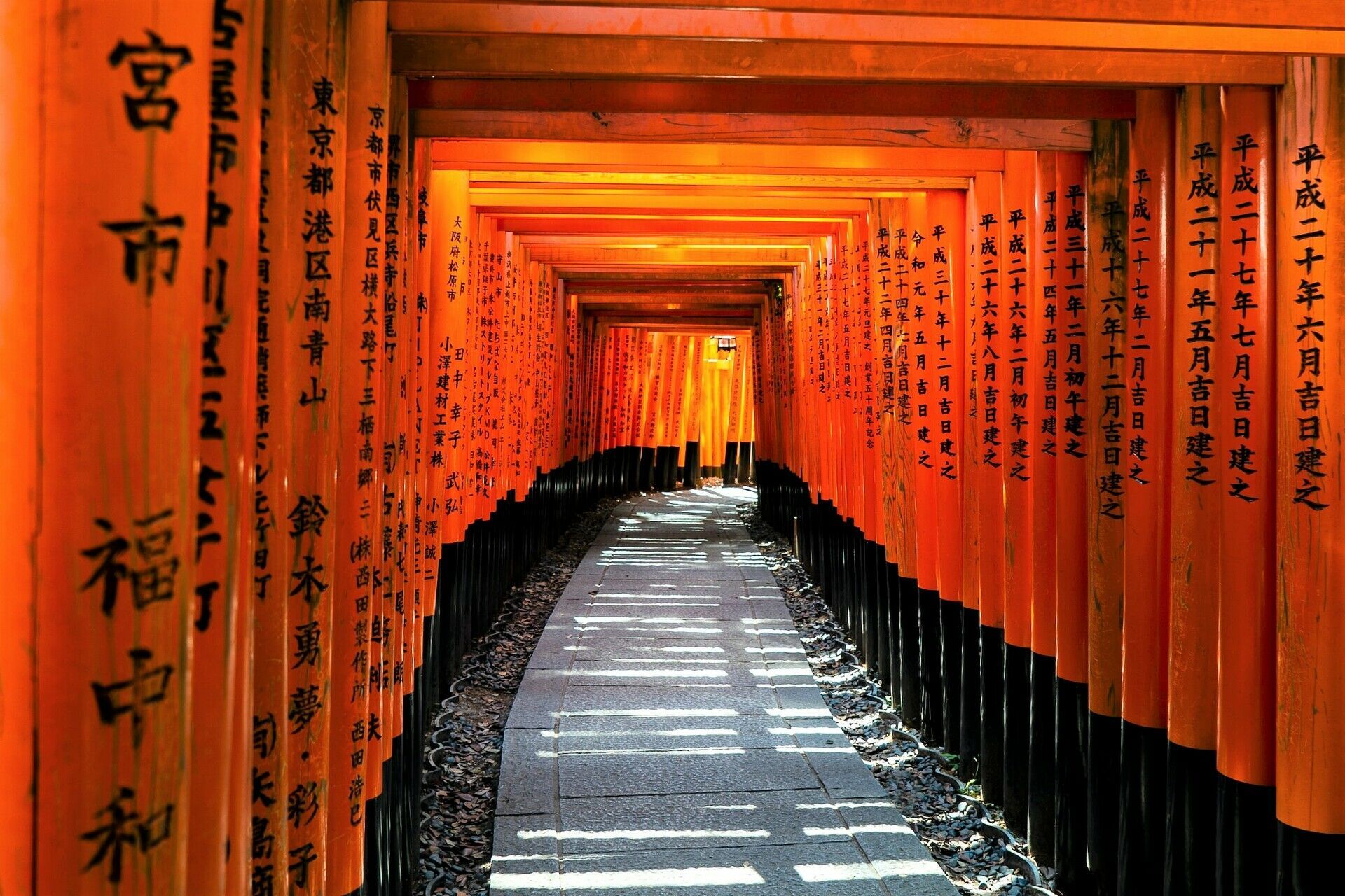 Circuit Individuel Plongée dans l’Univers du Japon 3* pas cher photo 6