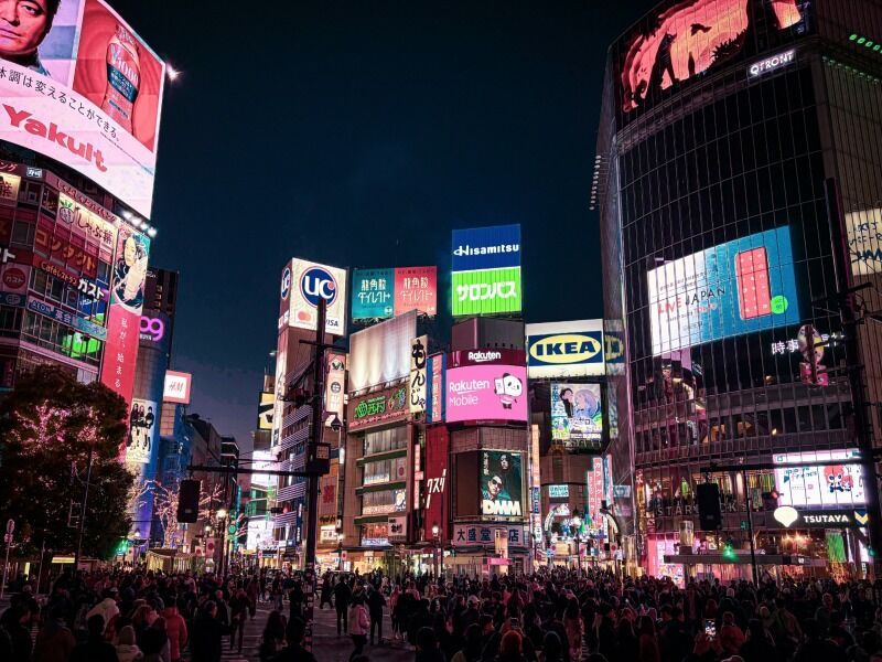 Circuit privé Le Japon sous toutes ses formes en 3* - 17 nuits pas cher photo 9