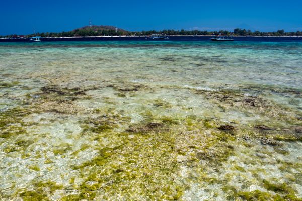 Combiné d'îles en îles : Bali, Gili Meno, Lombok et Nusa Penida pas cher photo 6