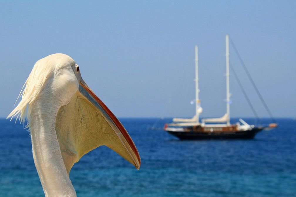 Combiné Athènes Tinos Syros Mykonos 3* pas cher