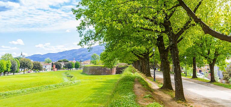 Points forts de la Toscane, visite privée - 4* pas cher photo 8