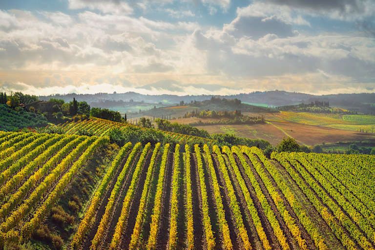 Points forts de la Toscane, visite privée - 4* pas cher photo 10