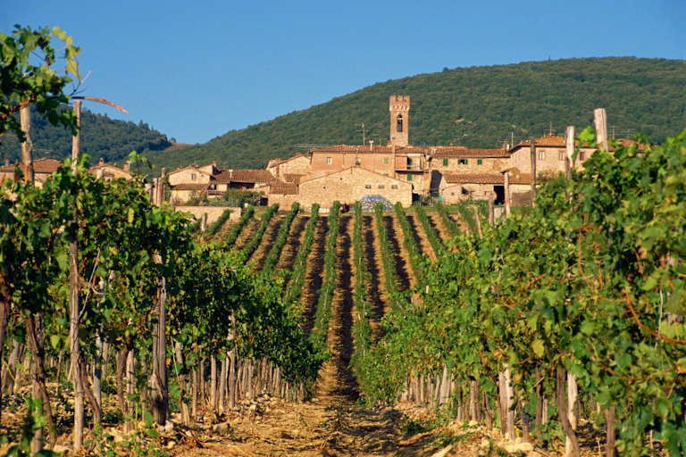 Points forts de la Toscane, visite privée - 4* pas cher photo 12