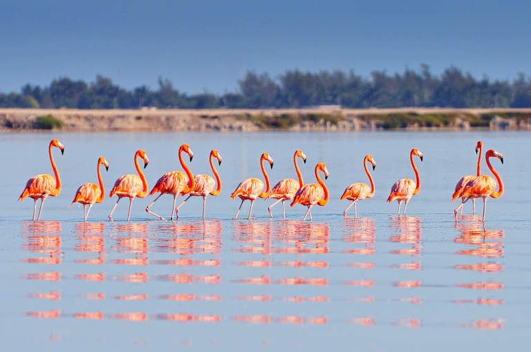 A la découverte du Yucatan avec extension balnéaire pas cher photo 6