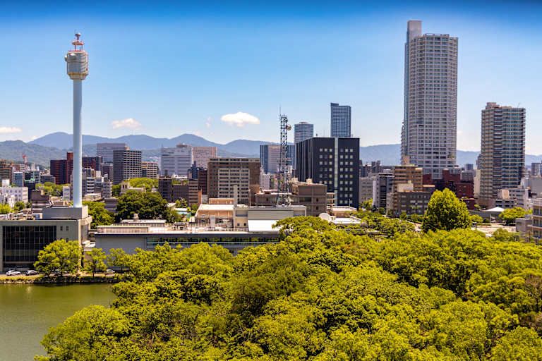 L'Essence du Japon : Villes, Nature et Culture - 3* pas cher photo 6
