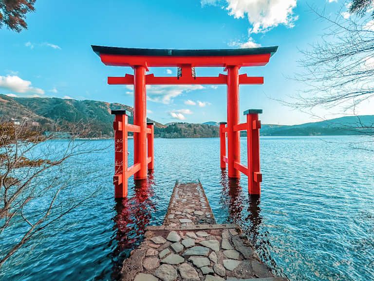 L'Essence du Japon : Villes, Nature et Culture - 3* pas cher photo 17