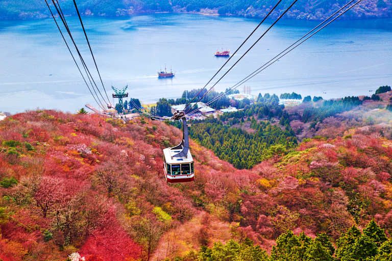 Les essentiels Japon et Corée du Sud pas cher photo 16