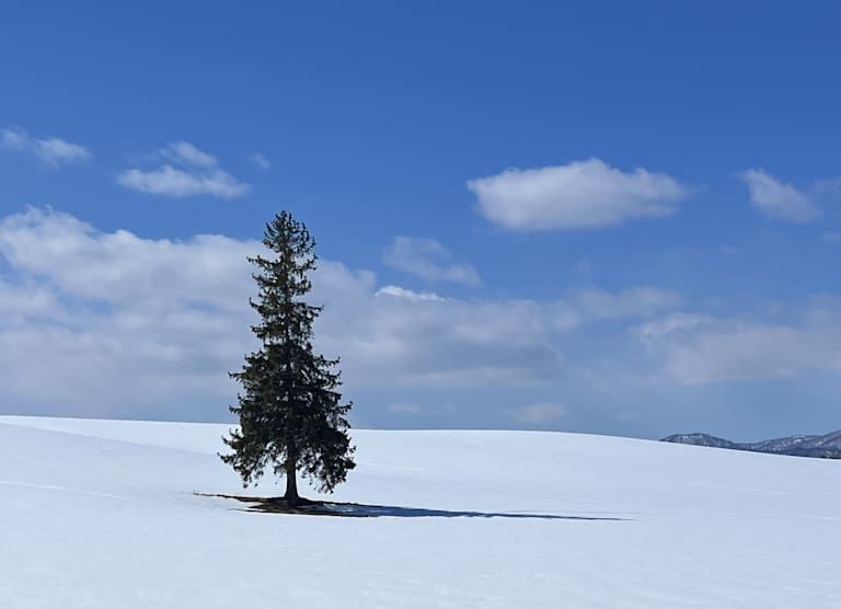 A la découverte de Hokkaido - 3* pas cher photo 9