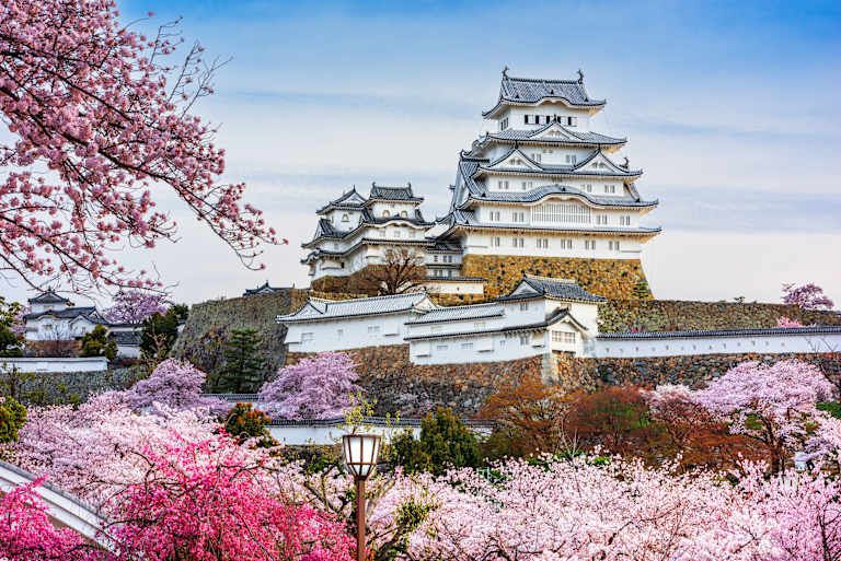 L'Odyssée japonaise : grand voyage d'exploration - 3* pas cher photo 7