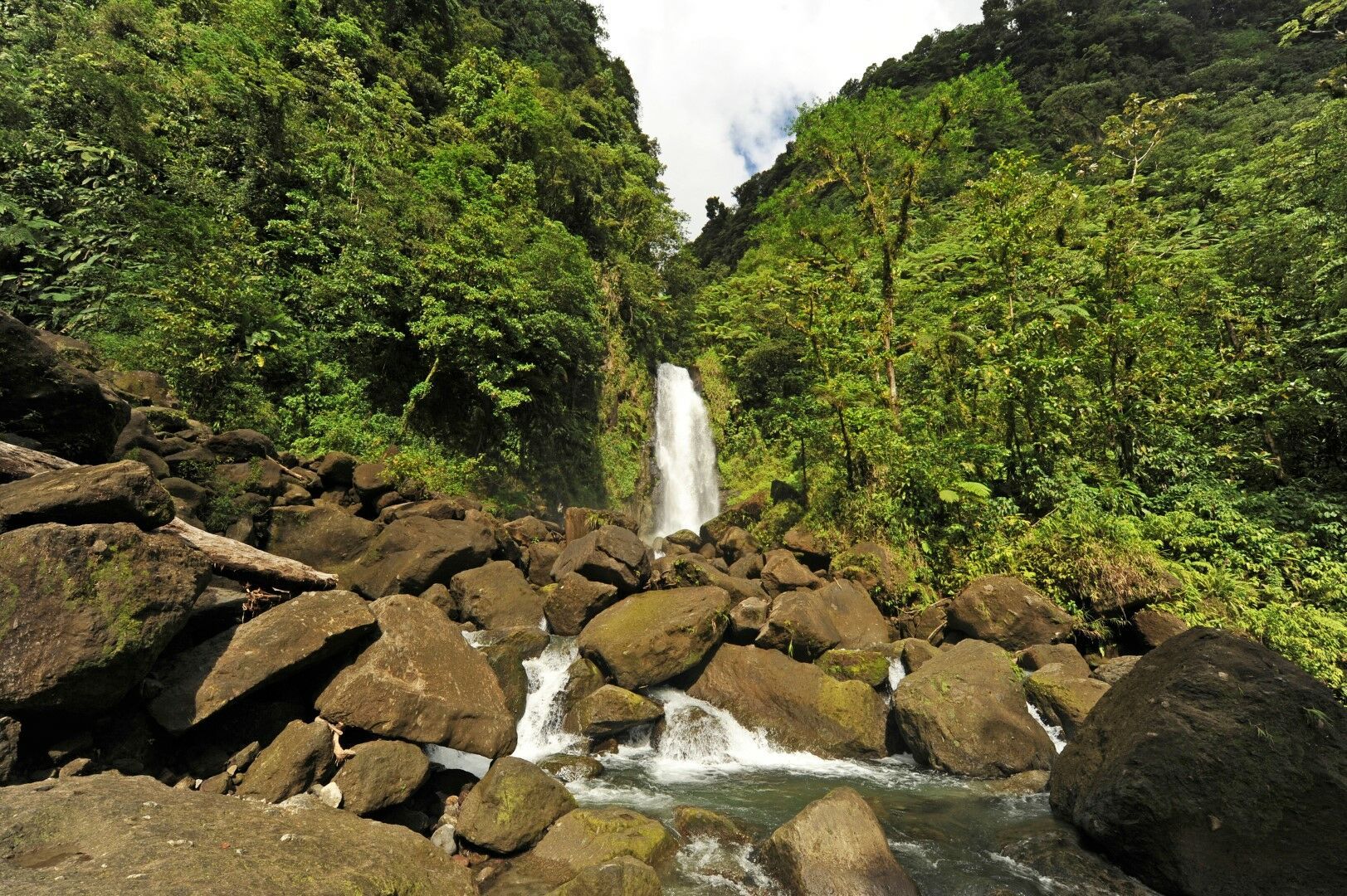 Évasion Caribéenne : Guadeloupe & Dominique - 10J/8N pas cher photo 6