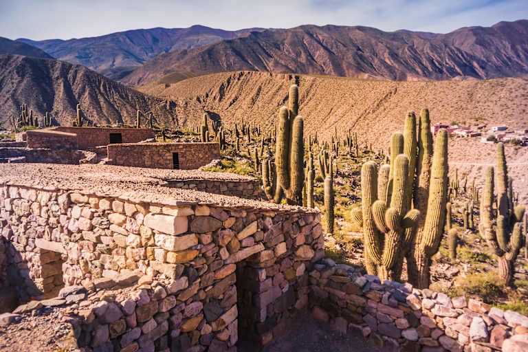 Autotour Voyage communautaire dans le Nord Ouest Argentin pas cher photo 13