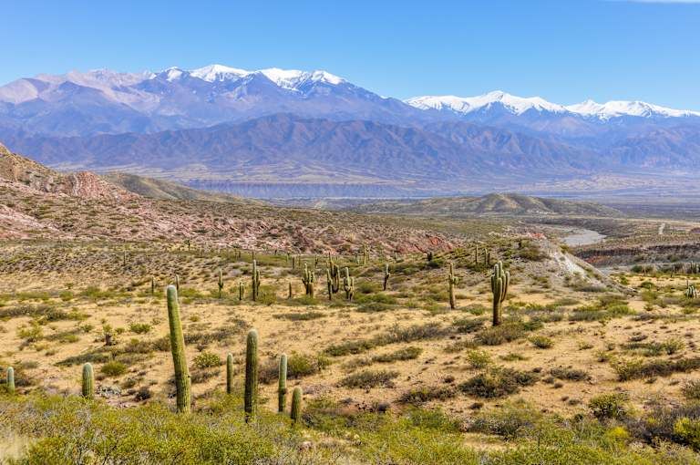 Autotour Voyage communautaire dans le Nord Ouest Argentin pas cher photo 20