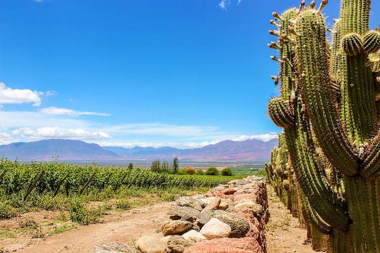 Autotour Voyage communautaire dans le Nord Ouest Argentin pas cher photo 24
