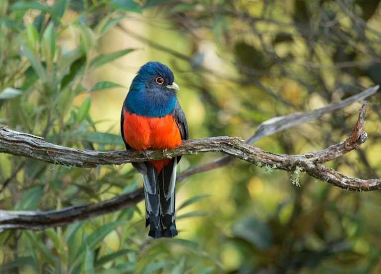 Immersion en Argentine - 3* pas cher photo 1