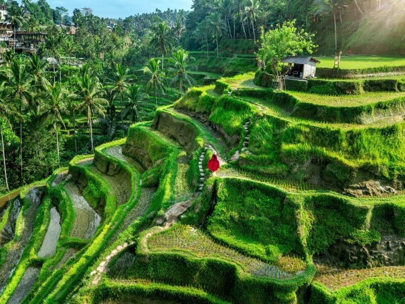 Circuit en liberté Duo Cendana Resort Ubud & Respati Hôtel Sanur - 14 nuits pas cher photo 5