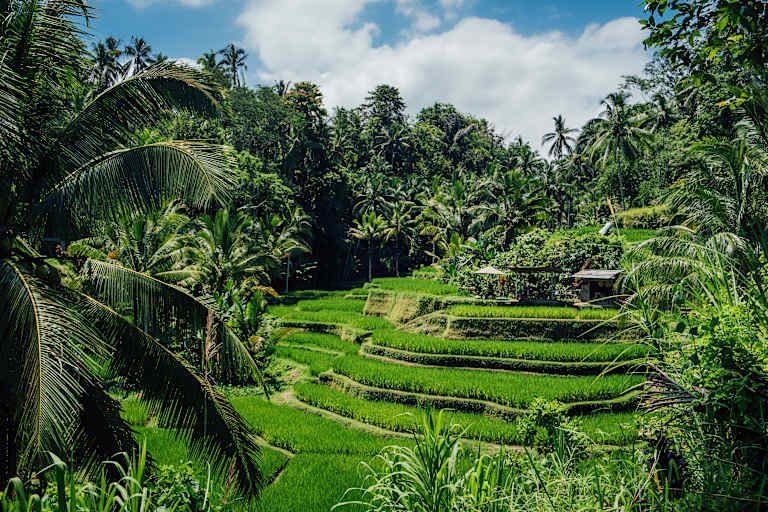 Circuit Bali de Ubud à Seminyak - 4* pas cher photo 3