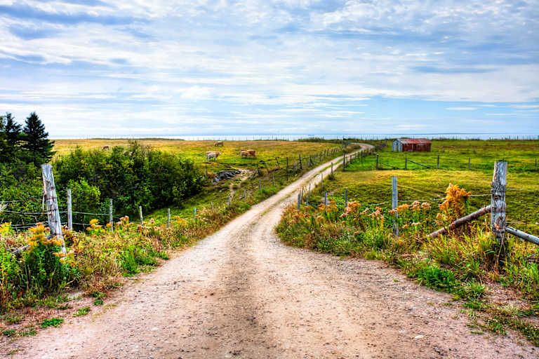 Autotour Sur les Routes du Québec - 3* pas cher photo 8