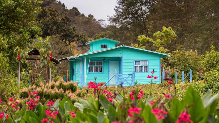 Echappée verte au Costa Rica pas cher photo 3