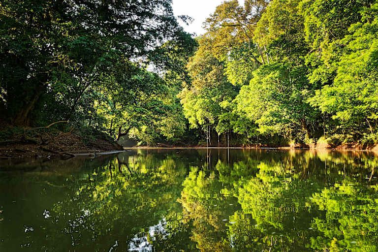 Echappée verte au Costa Rica pas cher photo 16