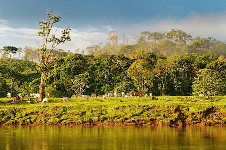 Echappée verte au Costa Rica pas cher photo 17