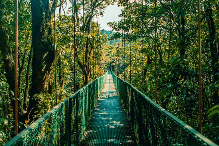 Echappée verte au Costa Rica pas cher photo 22