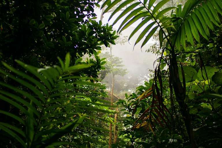 Le Meilleur du Costa Rica en groupe - 3* pas cher photo 12