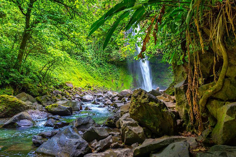 Le Costa Rica à petit prix - 3* pas cher photo 8