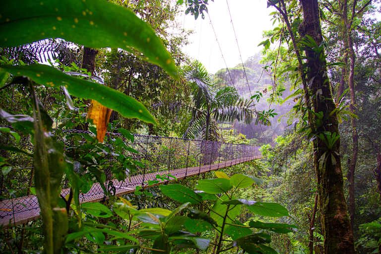 Le Costa Rica à petit prix - 3* pas cher photo 11