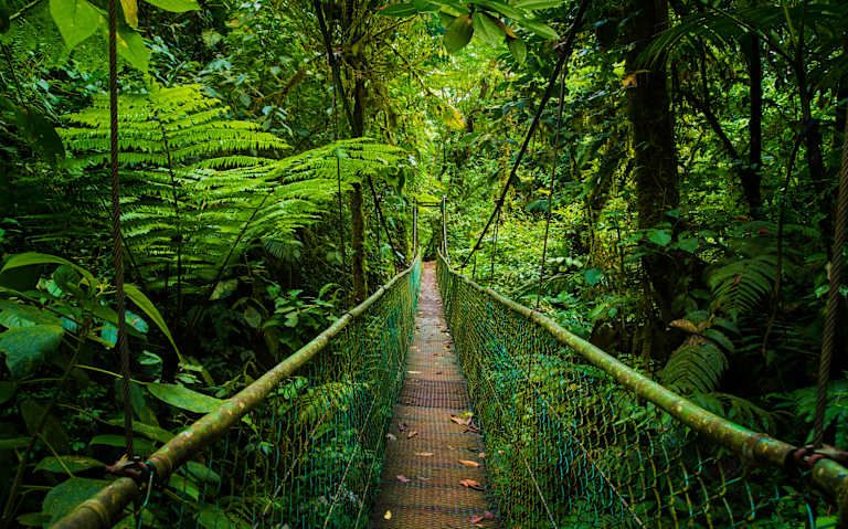Le Costa Rica à petit prix - 3* pas cher photo 13