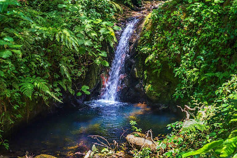 Le Costa Rica à petit prix - 3* pas cher photo 15