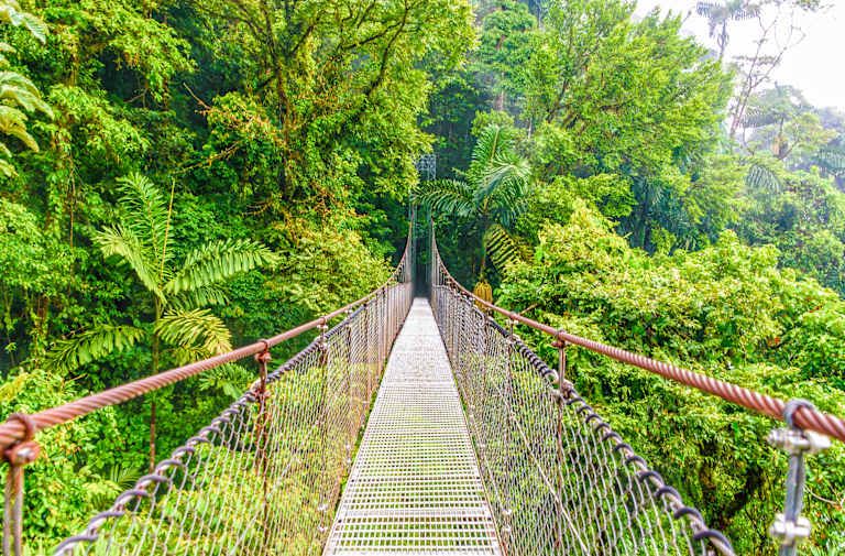 Explorer le Costa Rica - 4* pas cher photo 14