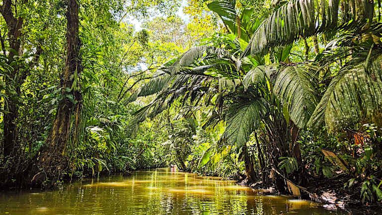 Explorer le Costa Rica - 4* pas cher photo 15