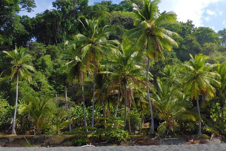 Explorer le Costa Rica - 4* pas cher photo 24