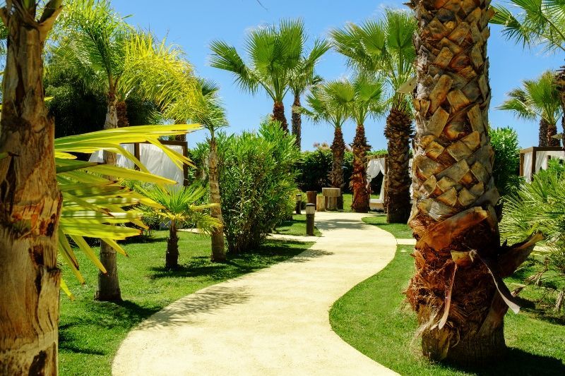Combiné Kappa City Séville Macia Kubb 4* & Iberostar Royal Andalus 4* avec location de voiture pas cher photo 5