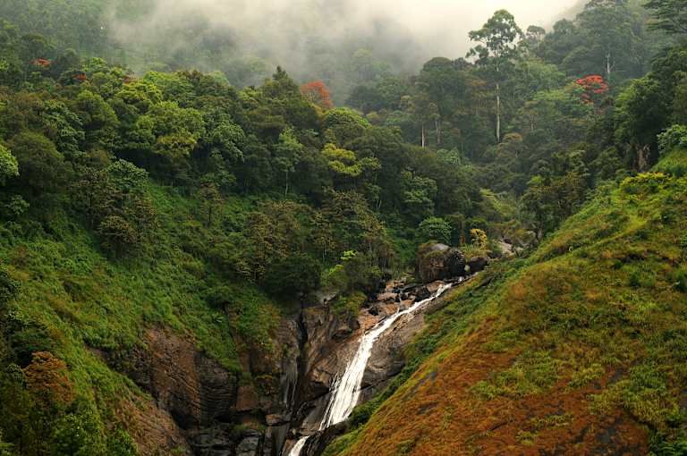 Le Kerala authentique - 5* pas cher photo 11