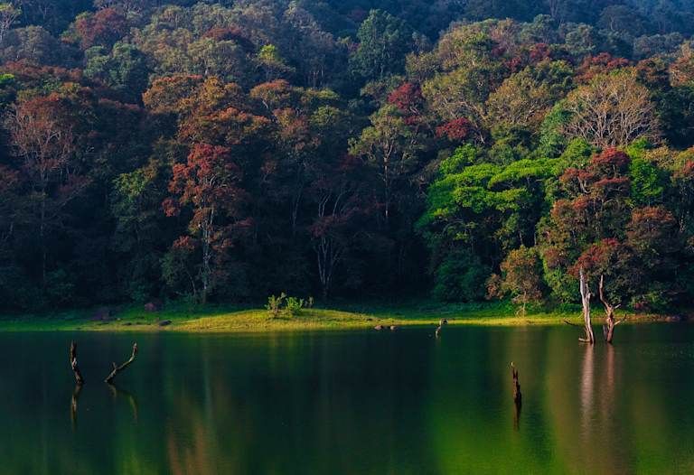 Le Kerala authentique - 5* pas cher photo 12