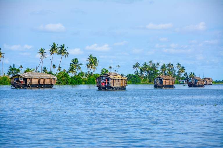 Le Kerala authentique - 5* pas cher photo 16