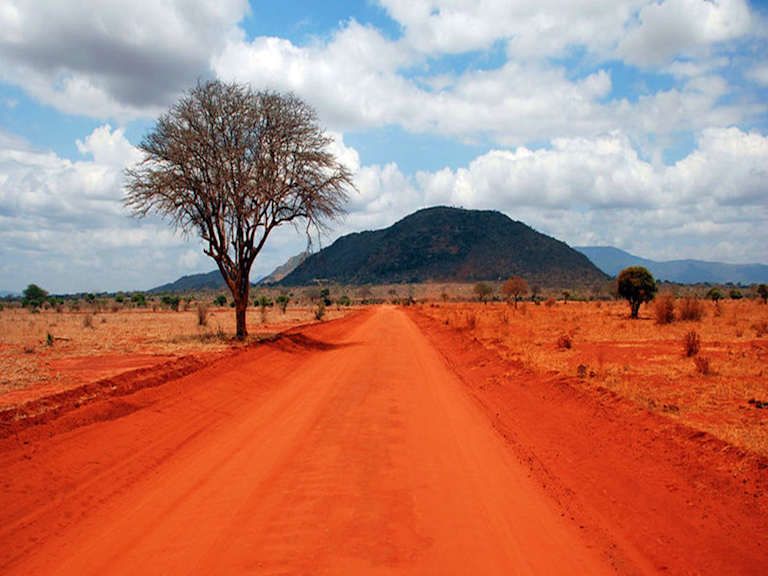 Entre safari et détente balnéaire au Kenya - 4* pas cher photo 6