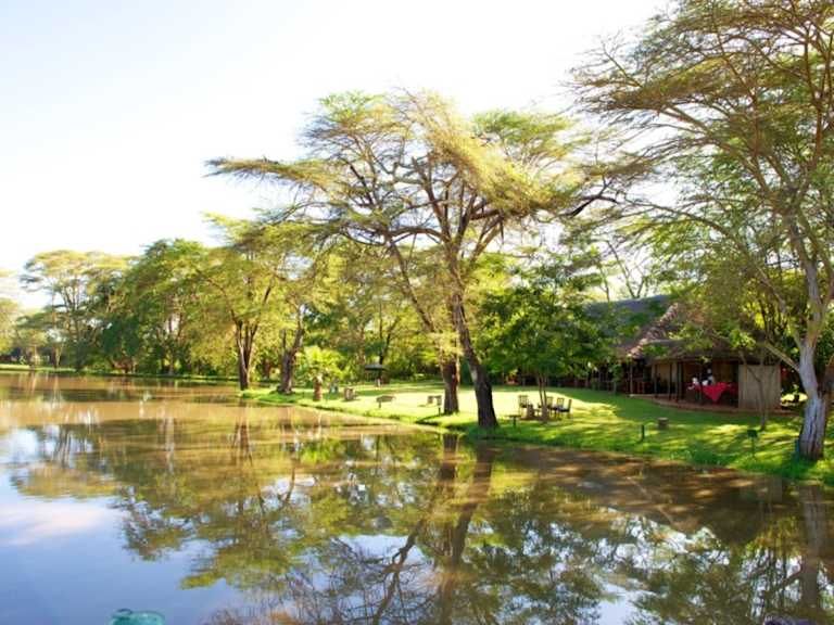 Entre safari et détente balnéaire au Kenya - 4* pas cher photo 9