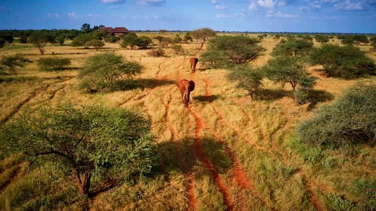 Entre safari et détente balnéaire au Kenya - 4* pas cher