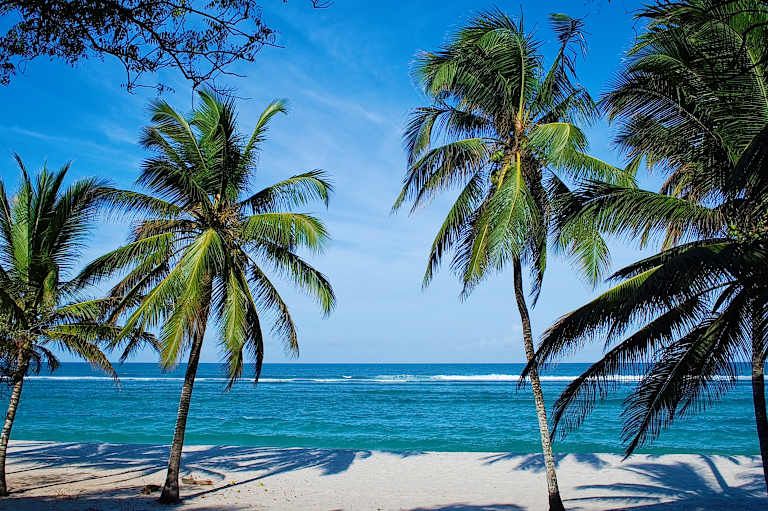 Les secrets du Kenya en Safari & extension à Diani Beach - 4* pas cher photo 2