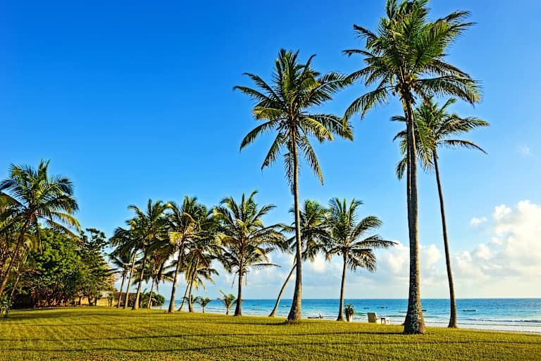 Les secrets du Kenya en Safari & extension à Diani Beach - 4* pas cher photo 8