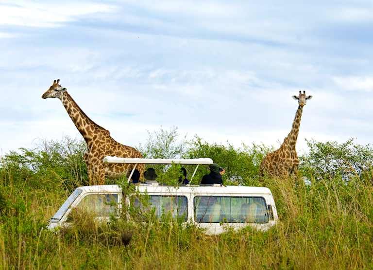 Les secrets du Kenya en Safari & extension à Diani Beach - 4* pas cher photo 13