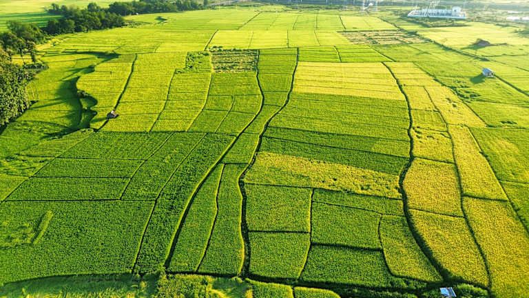 A la découverte du Laos sauvage, spirituel et authentique pas cher photo 14