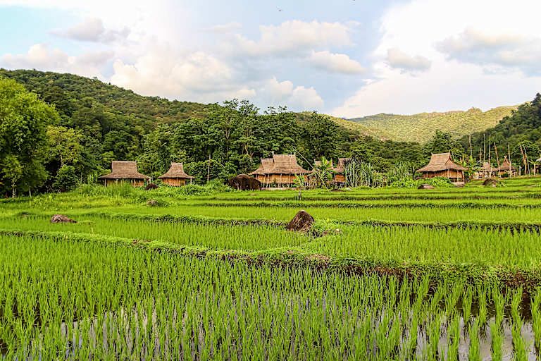A la découverte du Laos sauvage, spirituel et authentique pas cher photo 15