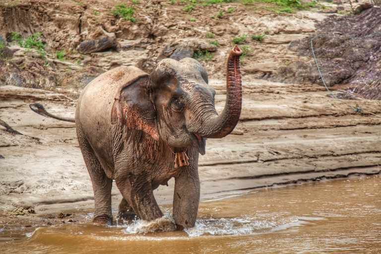A la découverte du Laos sauvage, spirituel et authentique pas cher photo 21